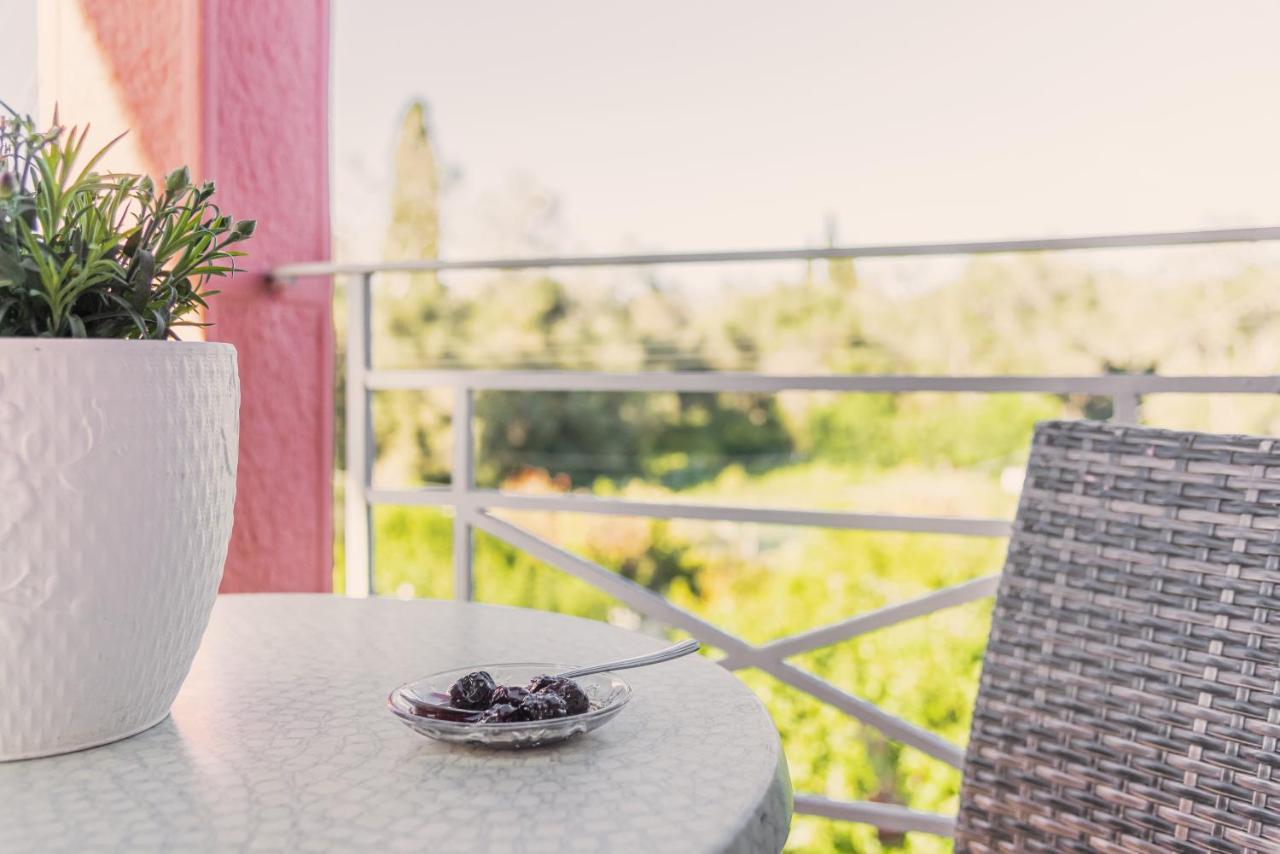 Villa Vasiliki Lefkímmi Exteriér fotografie