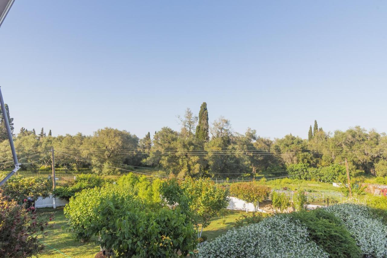 Villa Vasiliki Lefkímmi Exteriér fotografie